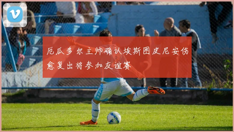 厄瓜多尔主帅确认埃斯图皮尼安伤愈复出将参加友谊赛